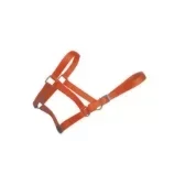 Halters & Reins