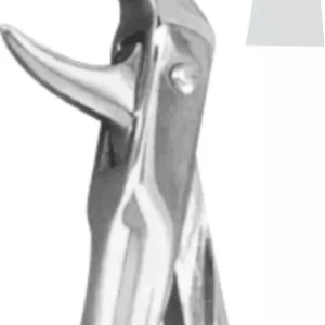 EXTRACTION FOCEPS STANDARD ENGLISH PATTERN