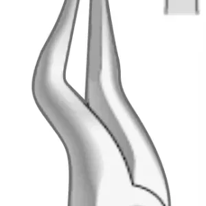 EXTRACTION FOCEPS WITH ANATOMICAL GRIP